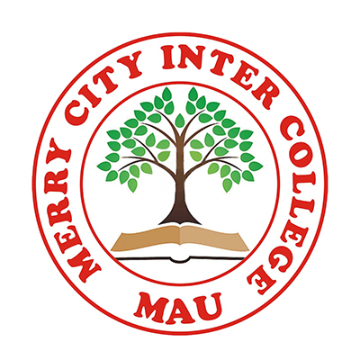 Re Nutech Solutions Social Media Marketing Client Merry City Inter College